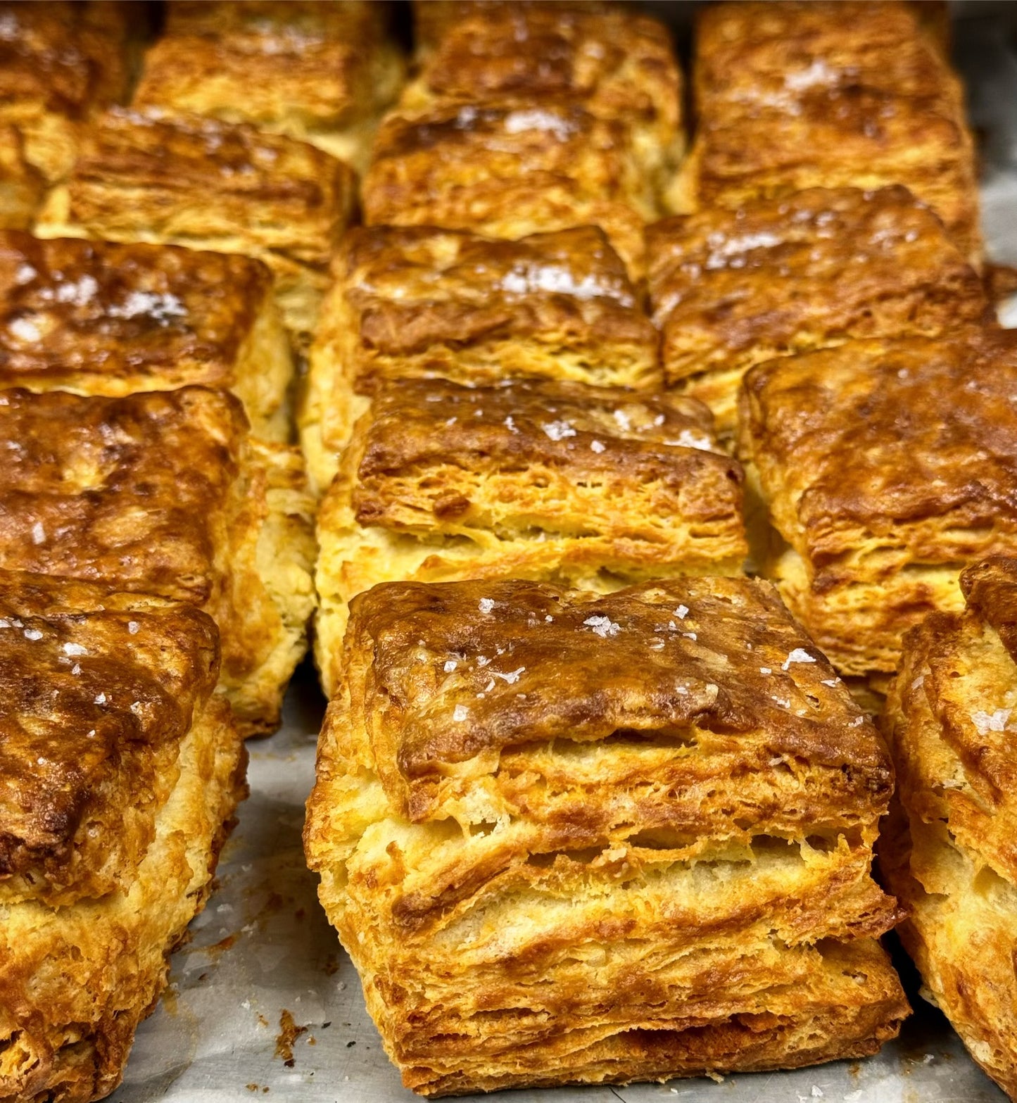 Ready-to-Bake Biscuits (PRE-ORDER)